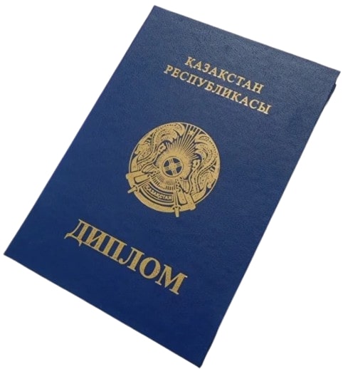 перевод дипломов
